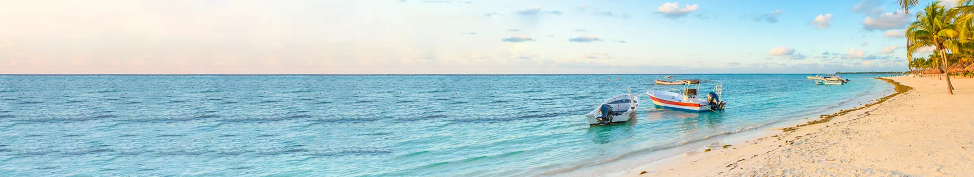 Holiday Banner