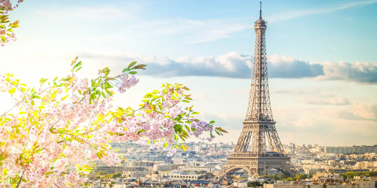 Twinkling Lights & Timeless Nights: Paris Christmas Escape