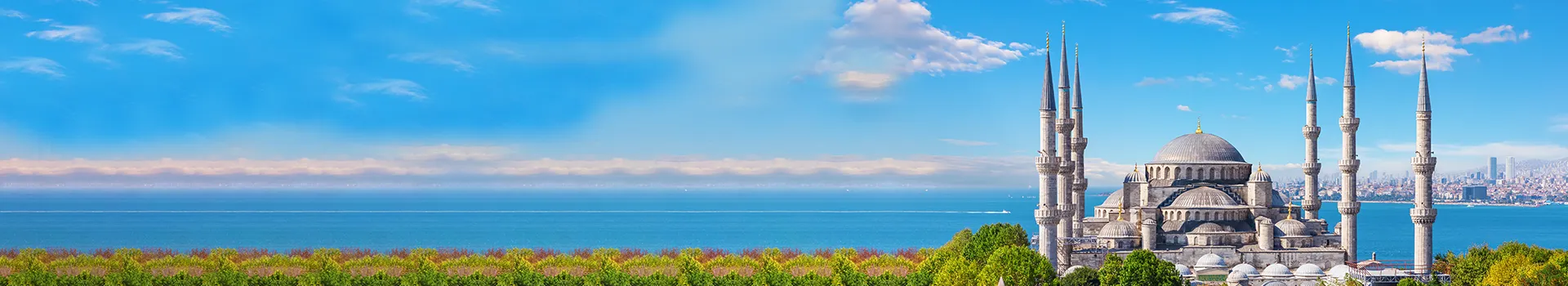 Holiday Banner